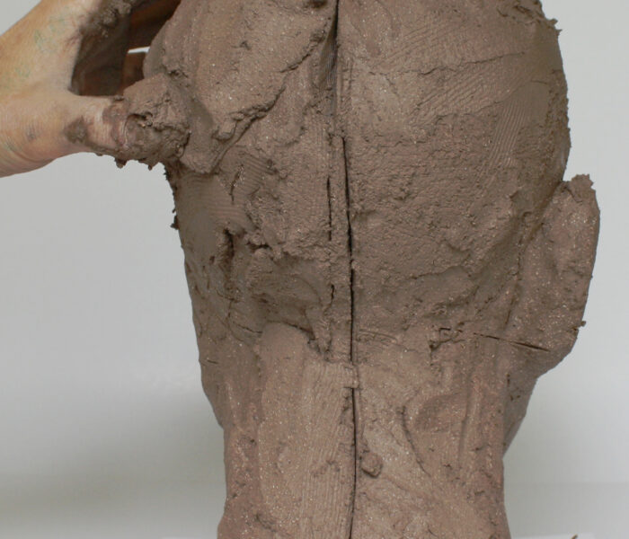 0001_28).Build up left side to match the right craniumpxm