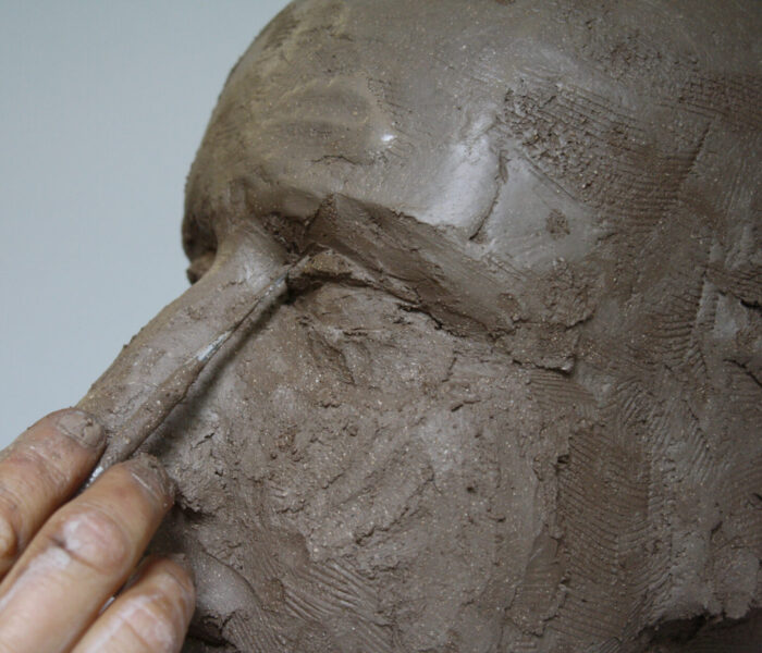 0006_DENTAL TOOL digging in between nose and eye copy