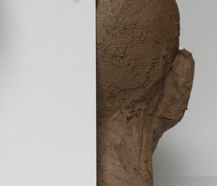 0097_30c) right side cranium revealed