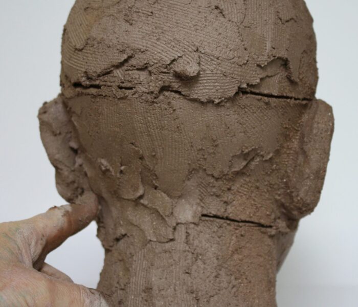 0137_43b) blending in the clay cranium neck