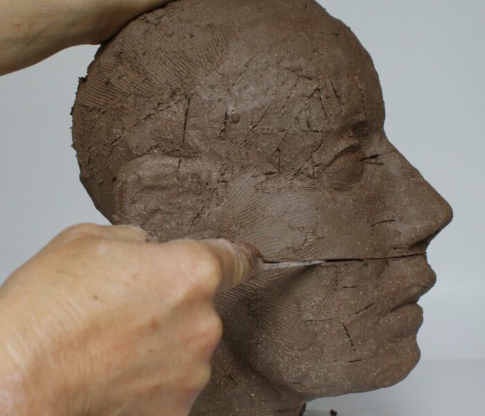 0170_Prolfile horizontal line bottom nose to cranium